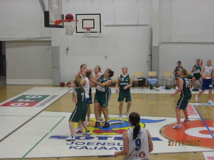 Pinja 013