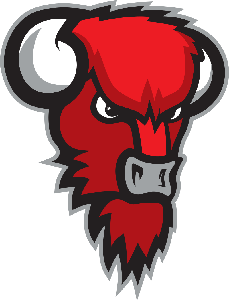 Bisons Loimaa